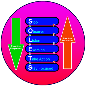 The So Lets Key - Self Mastery Simply For You